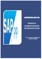 APUNTES SAP PP.pdf